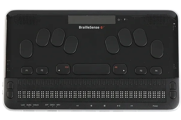 BrailleSense6