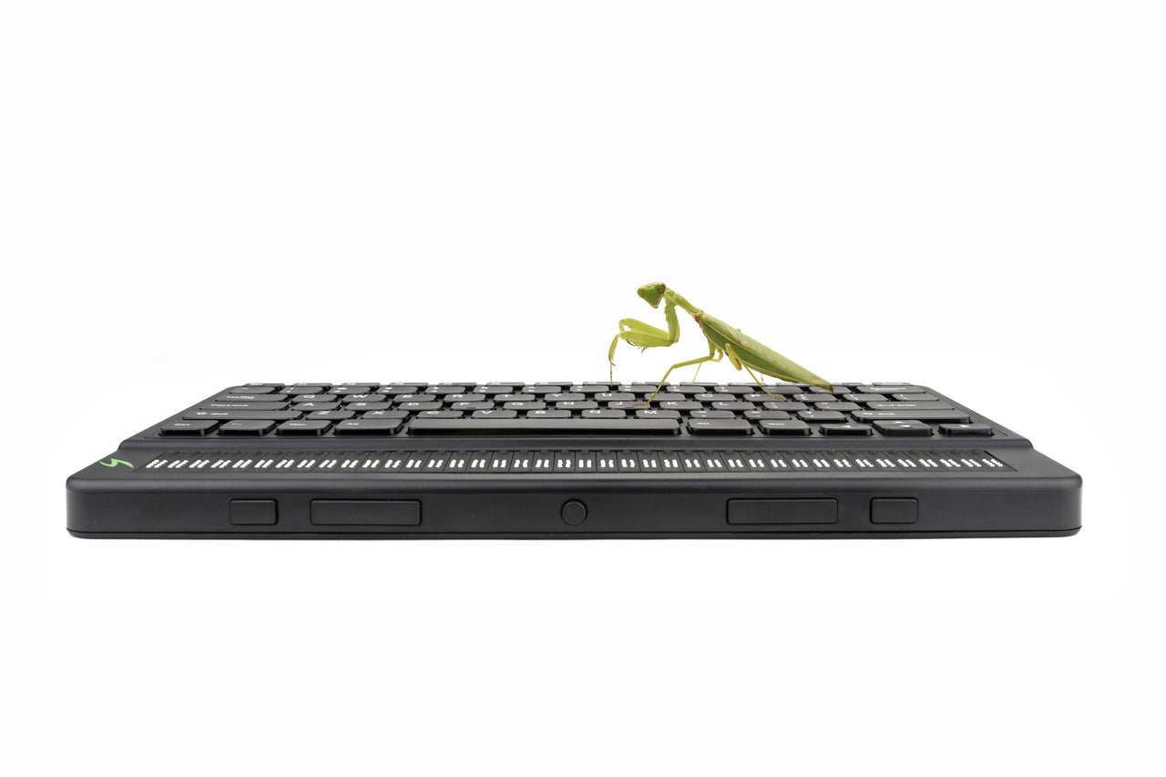 experience seamless accessibility: A Mantis Q40 Braille keyboard and display, ready for use with a friendly insect visitor.